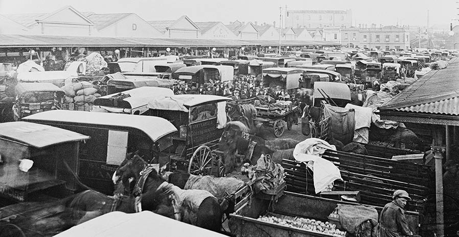 Historic black and white photo showing rows of horses and carts parked next to the market sheds.