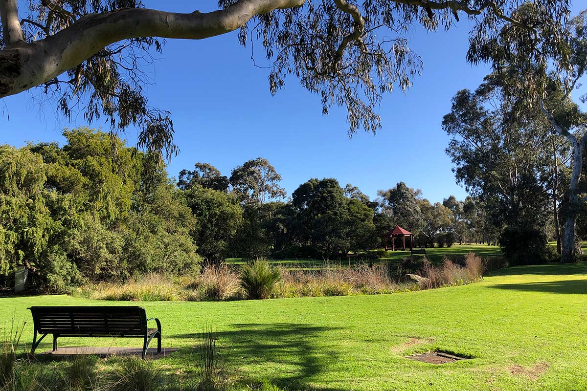 A park bench in a shady patch of lawn, facing the garden with view of grass plantings, shurbs, trees and a gazebo in the distance.