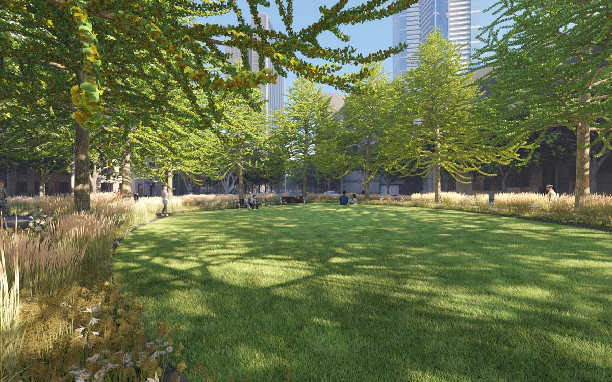 Large lawn area surrounded by grassy plants and medium sized Gingko trees