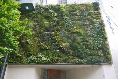 Plants growing on screen on side of building