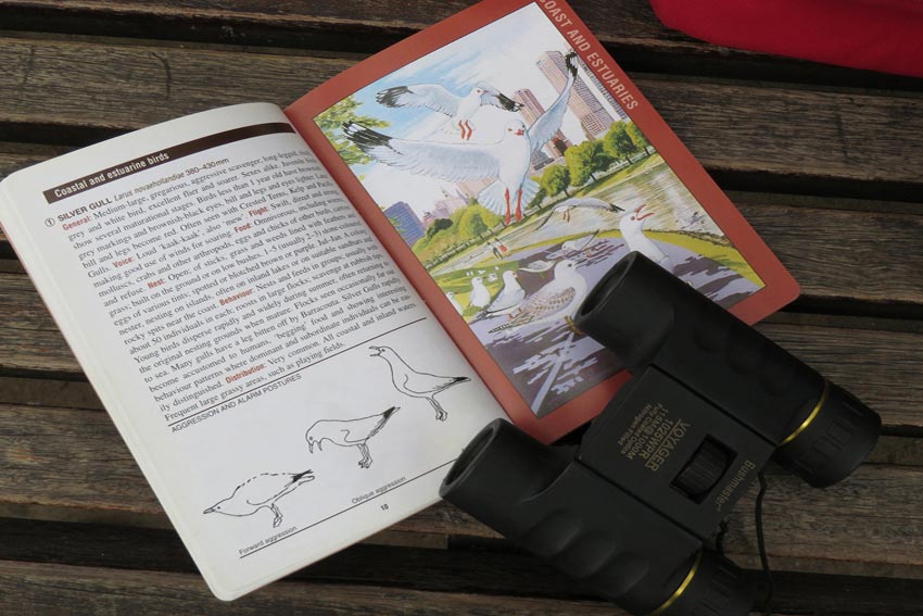 Binoculars and an open book with information and illustrations of coastal and estuarine birds.