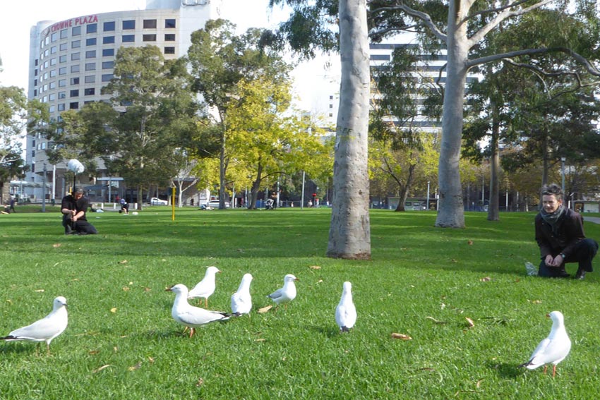 The artist crouched next to a small flock of seagulls in Batman Park