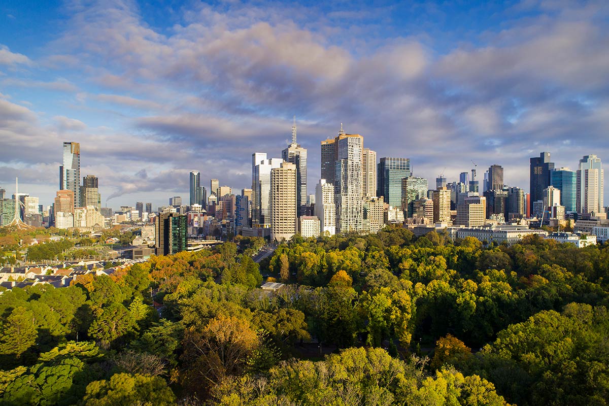 Elevanted view across the tree canopy of Treasury Gardens, looking towards the high-rise buildings of Melbourne CBD.