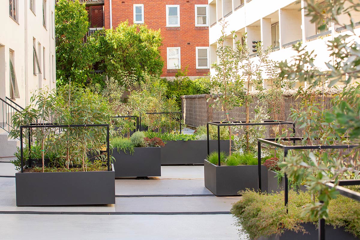 Rectangular planter boxes with shrubs and plants filling the communal space.