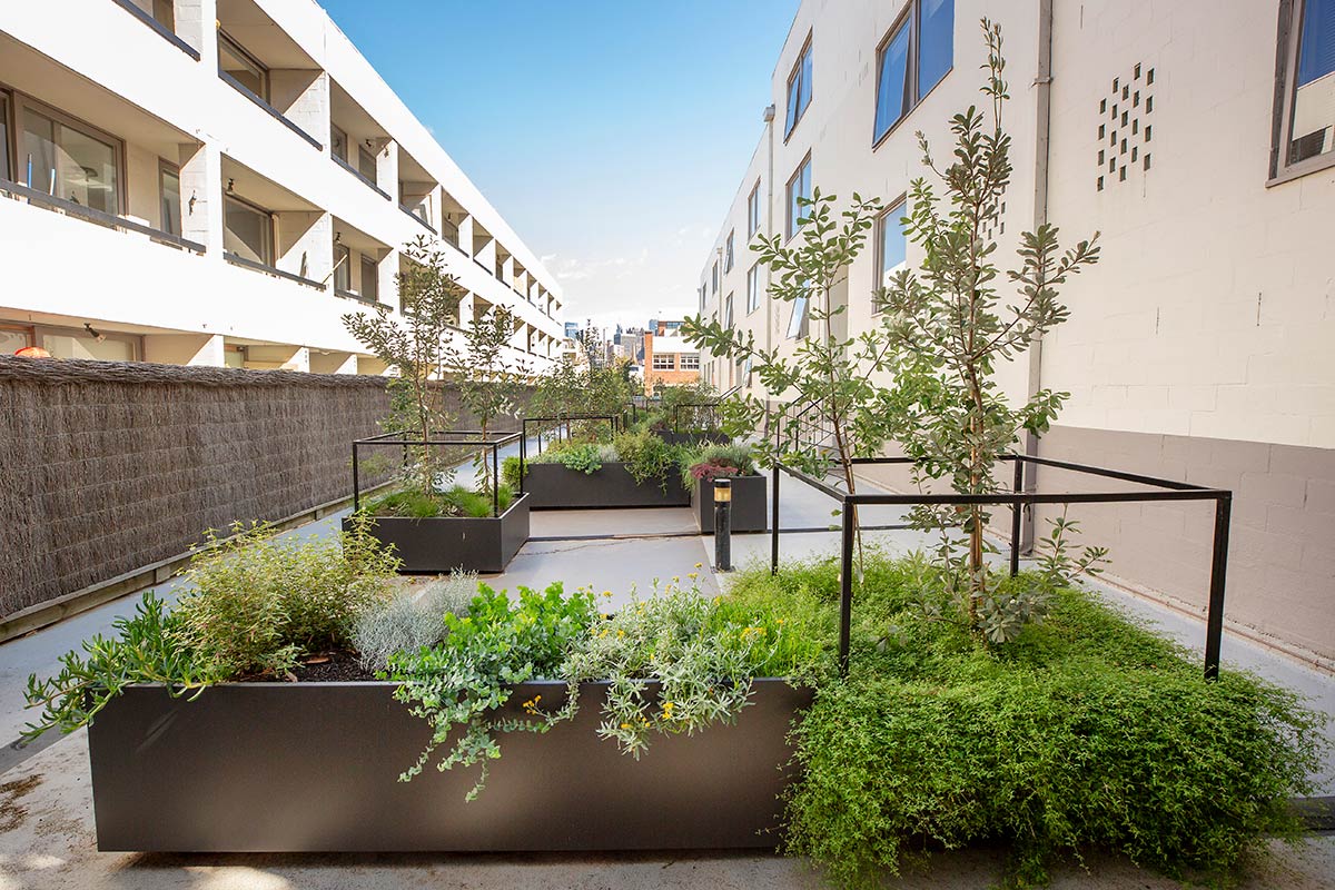 Large planter boxes with shrubs and plants, spread throughout the apartment building's communal area.