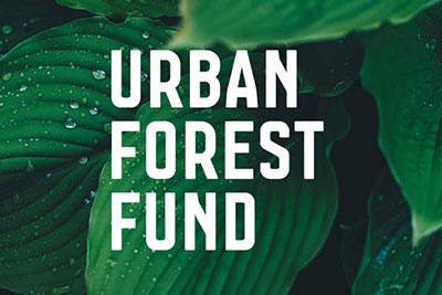 Urban Forest Fund