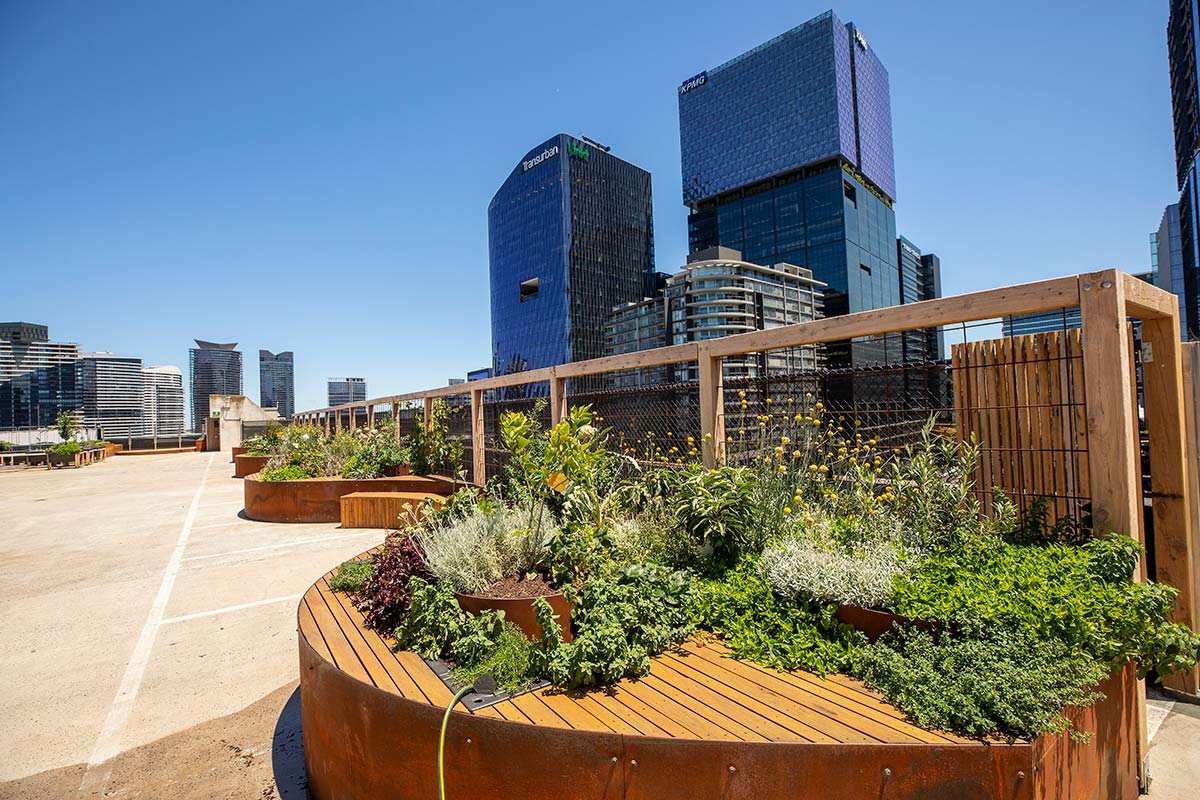 Curved, raised garden beds along one edge of the rooftop space, planted with a mix of colourful plants and flowers. New wooden-framed wire fencing is installed at the boundary.